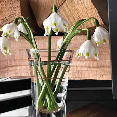 Villavoigt, Gezellig Familiehuis 펜션 *