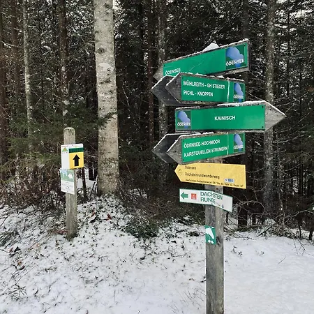 Villavoigt, Gezellig Familiehuis *